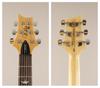 Paul Reed Smith(PRS) SE Custom 24 (Charcoal)