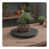Turntable Degree Rotation Heavy Duty Rotating Stand Wear Resistant Bonsai for Hobbyists,