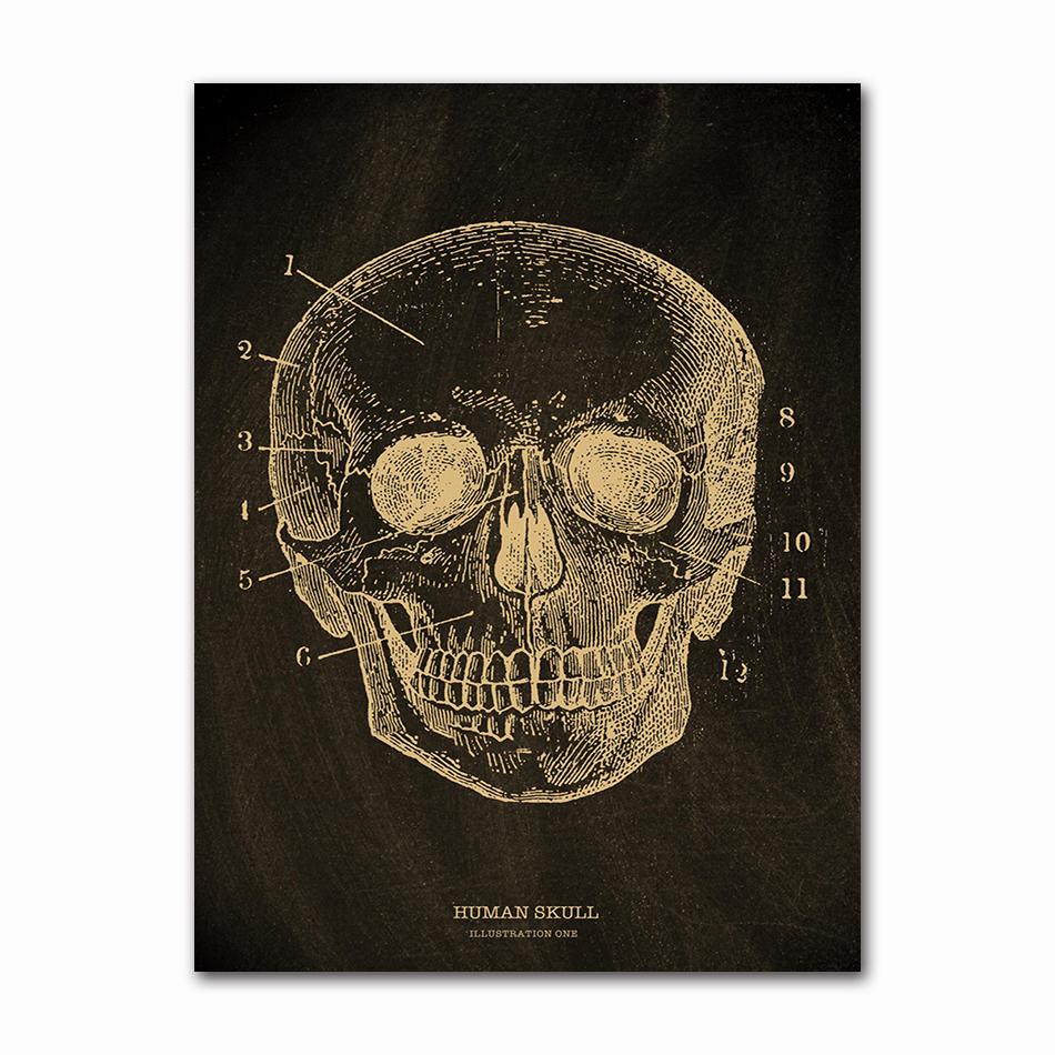 Anatomical Skeleton Chalkboard Poster Kraft Paper Posters DIY Vintage Home Room Medicine Student Decor Medical Art Wall Painting