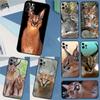 Чохли для телефонів – Бампери для смартфонів