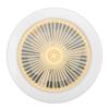 30W Light Fan 9.8in Small Aromatherapy Noiseless Ceiling Fan Light E27 LED Fan Light 86‑265V