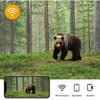 4K Live Video Jagd-Trailkamera APP Bluetooth-Steuerung Wildkameras 30MP Nachtsicht iP66 Fotofallen WIFI801PRO