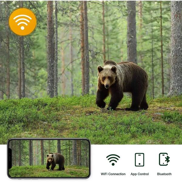 4K Live Video Jagd-Trailkamera APP Bluetooth-Steuerung Wildkameras 30MP Nachtsicht iP66 Fotofallen WIFI801PRO