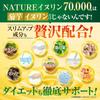 NATURE Inulin 70,000mg, Water-soluble dietary fiber equivalent to 200 heads of lettuce, 22 carefully selected ingredients, Tablets, Jerusalem