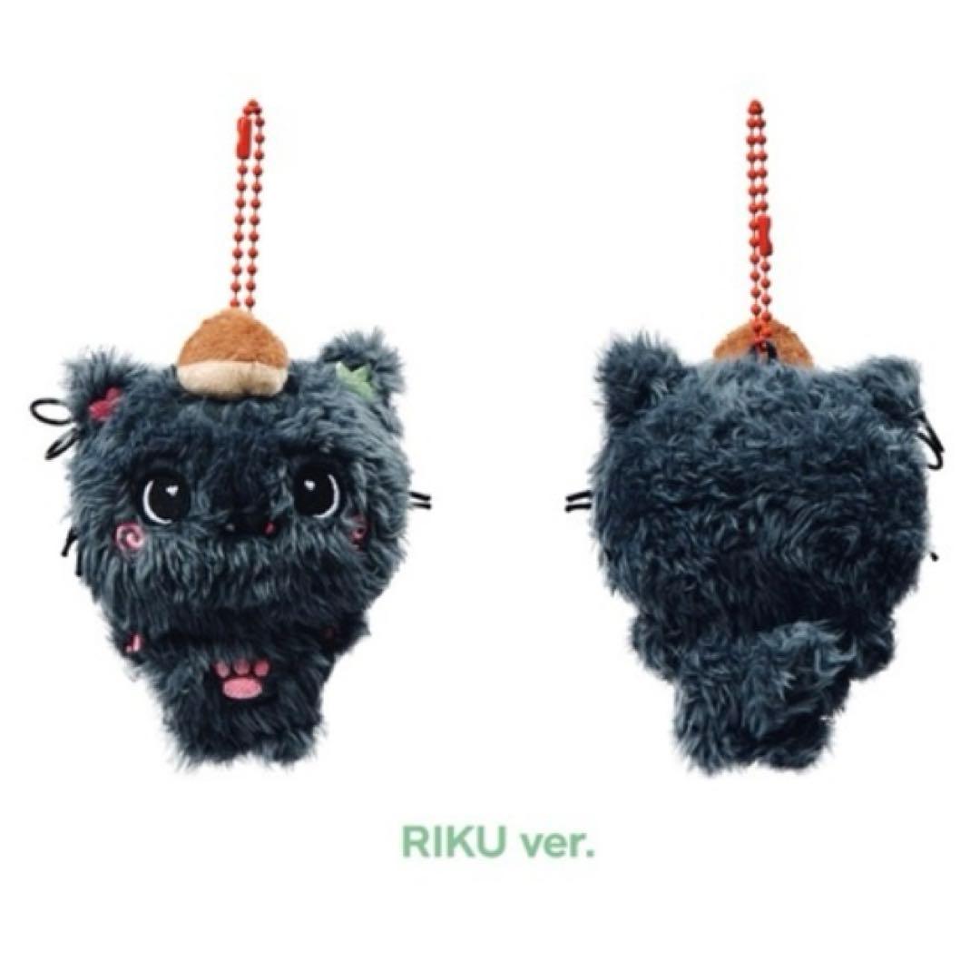 [USED] NCT WISH Pocket Wish Doll Keyring Keychain Riku