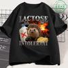 Lactose Intolerance Fun Hedgehog Meme Tshirt 2026 New Hot Mens Womens Retro Fashion Short Sleeved Cotton Casual Tshirt