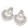 Silver Needle Diamond Flower Pearl Earrings: European & American Style, Exquisite, High-End, Versatile Fashion Ear Studs for Women