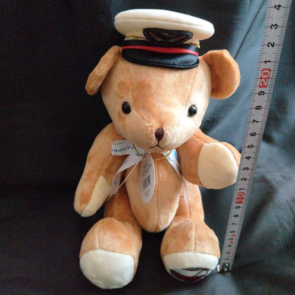 [USED] [Tagged] Limited-Quantity Release Tully's x Odakyu Collaboration Teddy Bear Romance Car