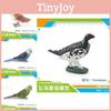 Stunning And Vibrant Pvc Bird Figurines Including Colorful Parrots Owls And Finches For Display