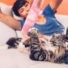 Plush Gradient Pillow Toy Cat Biting Cat Teaser Teeth Grinding Rod Catnip Soft Bite Resistant Bolster Pet Companion Toy Supplies