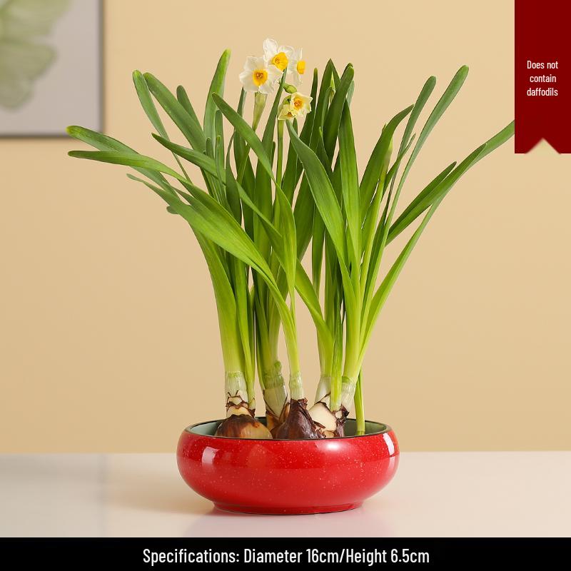 Großer Keramik-Lotus Seerose Hydroponischer Blumentopf ohne Abfluss