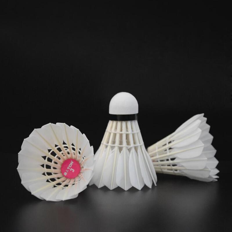 WEZHO No. 3 Professional Badminton Shuttlecocks