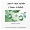 Slek Oil Control Volumizing Green Tea Seed Shampoo