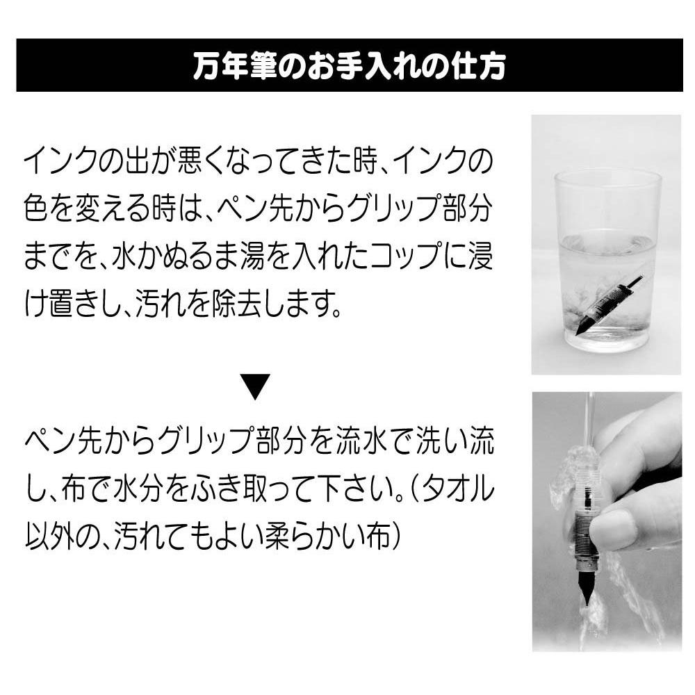 Platinum Fountain Pen Plaisir Medium Nib PGB-1000B [All 2 Colors]