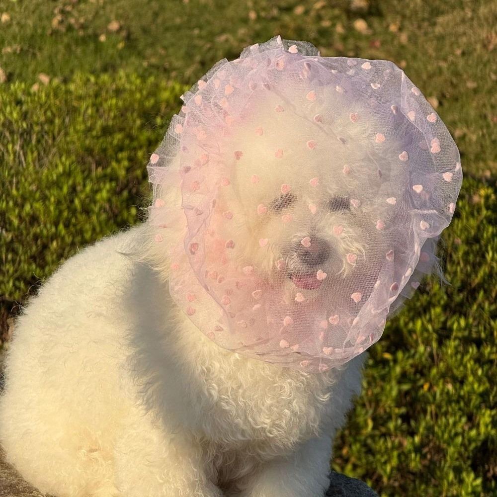 Mesh Pet Anti-Mosquito Headgear Breathable Adjustable Dog Anti Licking Headgear Love/Wave Point Pattern Dog Protective Mask