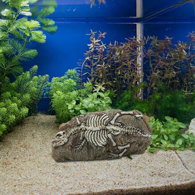Aquarium Ornament Simulation Schildkröte Reptil Eidechse Landschaftsbau Höhle Harz Dinosaurier Fossil Fisch