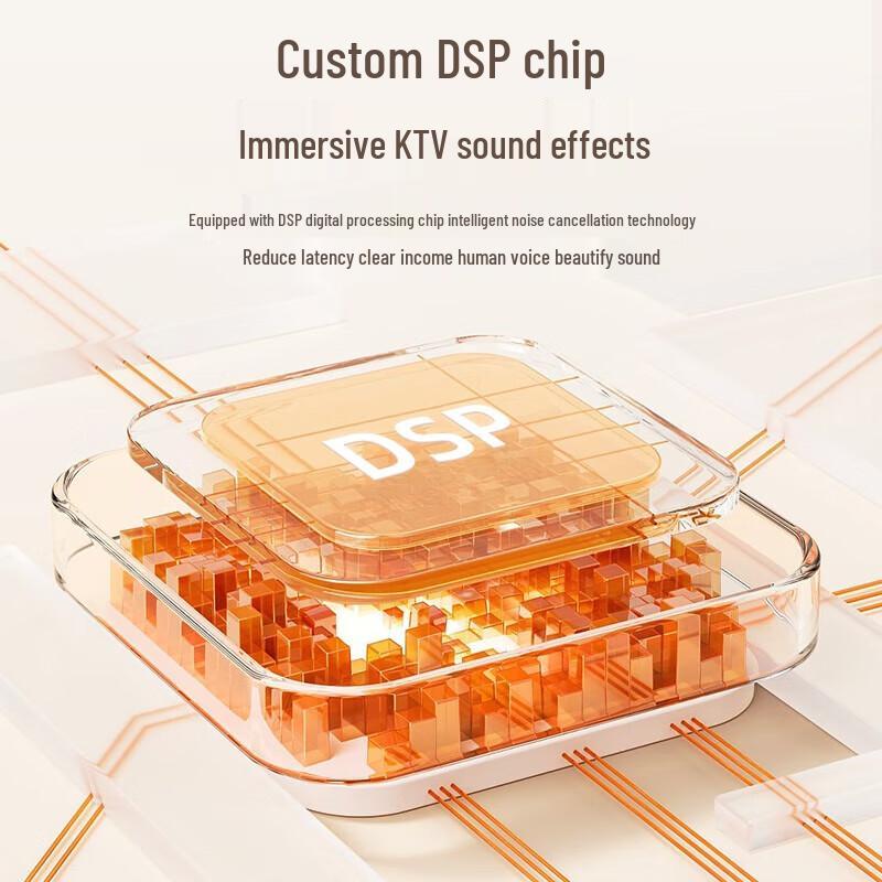 SANSUI V1 Wireless Bluetooth KTV Speaker with Microphones