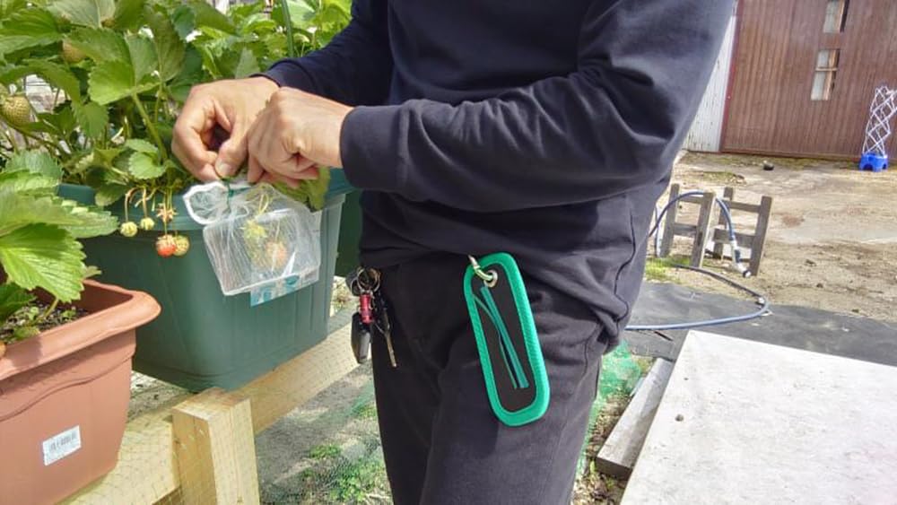 Niigata Seiki SK Magnetic Sheet Magnetic Short Zero Approx. 173 X 67mm MGS-02