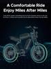 ENGWE M20 2*13Ah Batteries 20*4.0 inch Tires 750W Brushless Motor 45km/h Max Speed Front & Rear Disc Brakes