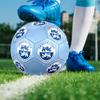 Sonderjyske FC Size 5 Soccer Ball, Machine-Stitched PVC, Durable & High Bounce, All Ages Fit, Fan Merchandise, Matches & Outdoor Use.