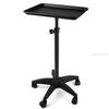 Adjustable Height Rolling Tray Cart - Aluminum Salon Utility Cart with Wheels for Tattoo, Hair & Dental Tools, trolley cart