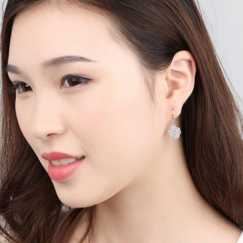 Lindon Copper Alloy Zircon Earrings Drop Earrings For Women Wedding Party Gifts