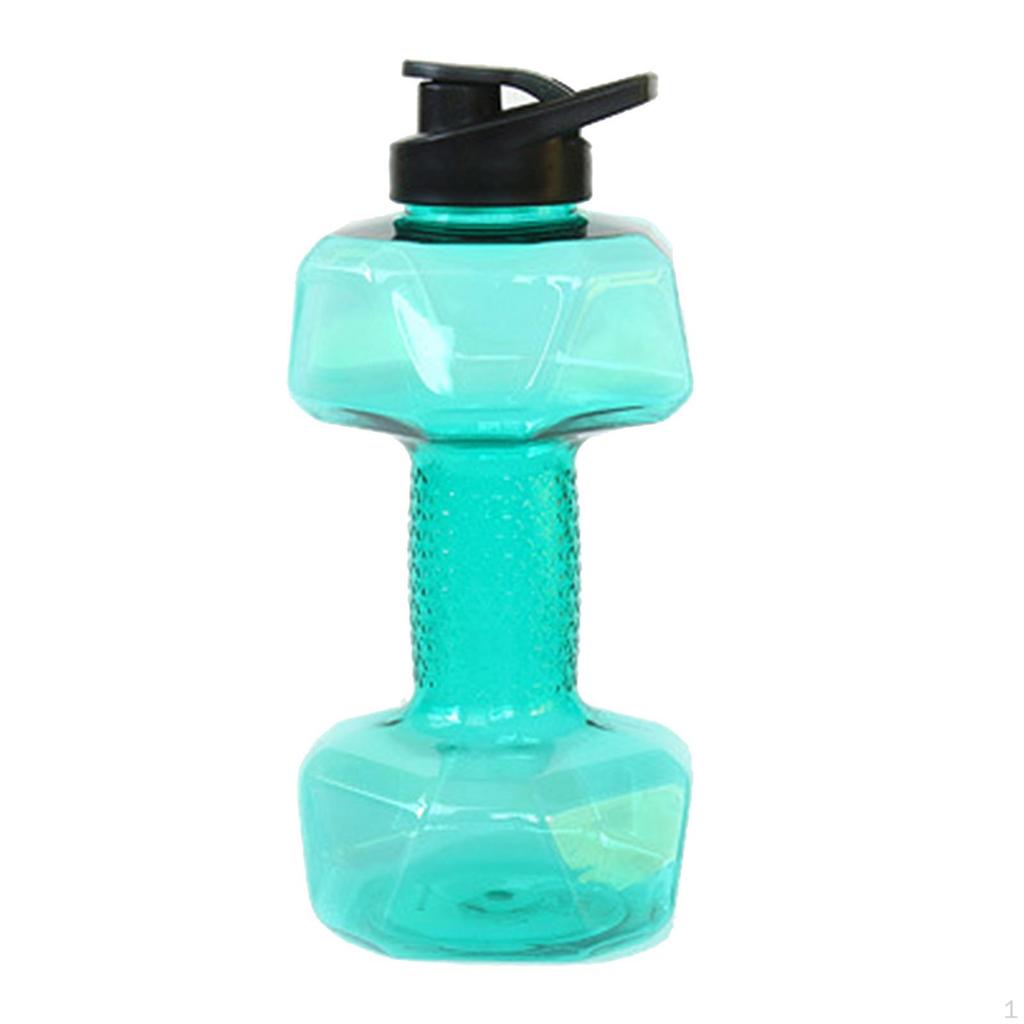 Companion for Fitness Enthusiasts