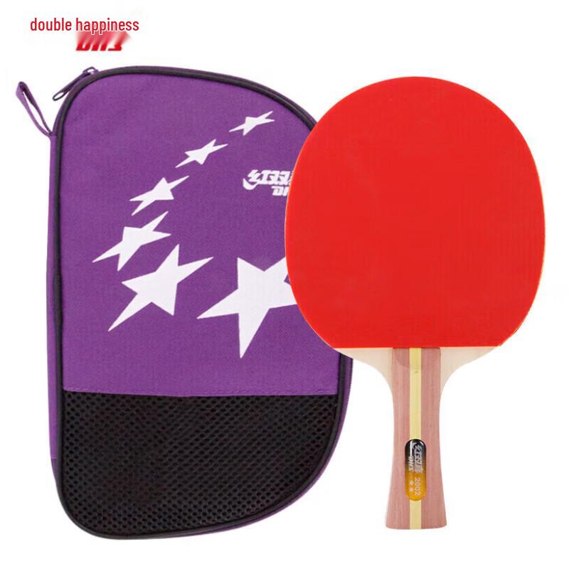 DHS 2-Star Table Tennis Racket