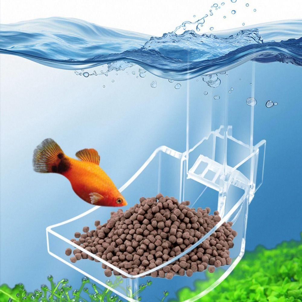 Transparent Shrimp Feeding Device Acrylic Aquarium Feeder Tube  for Shrimp Fishes Snail