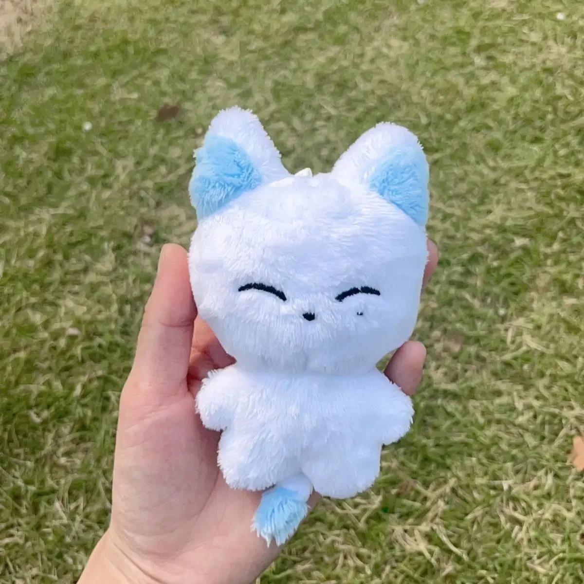 

Non-Toxic Kpop Plush Jungwon Heeseung Jay Jake Sunghoon Stuffed Toys Keyring Kawaii Cartoon Pendant Accessories Bag Fans Gift 0-10cm