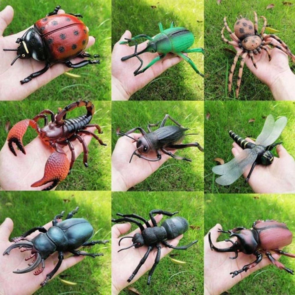 Cricket Simulated Insect Model Spiders Simulation Wildlife Model Science Toy   Children Gifts