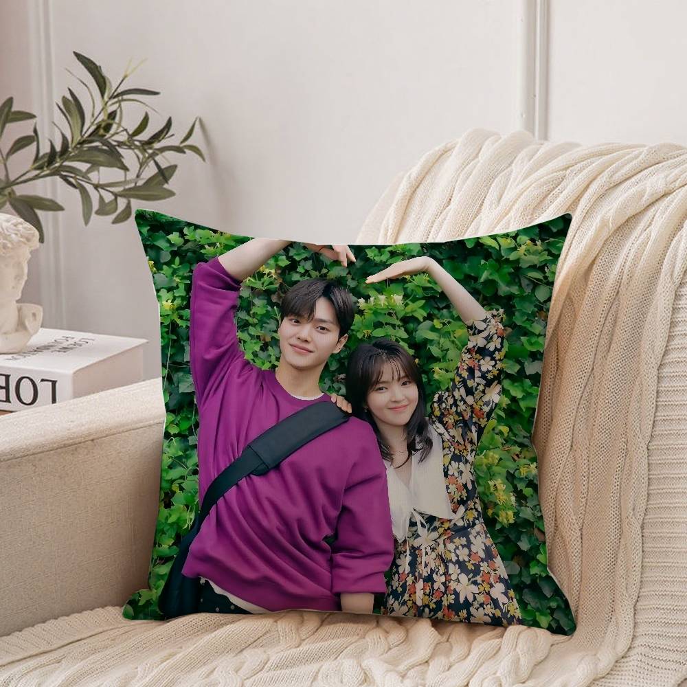 TV Series N-Nevertheless Pillow Case Home Decor Throw For Sofa Bed Car Room Decor Gift Idea