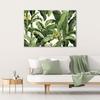 Canvas Print, Green Banana Leaves
