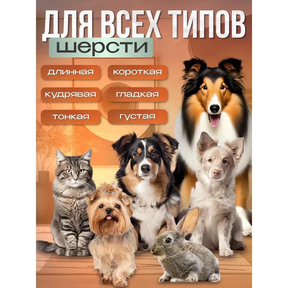 Professionelle leise Hund- und Katzenpflege-Maschine 3 in 1 / Kabelloser Haustier-Trimmer mit Krallenaufsatz / Schleifer
