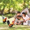 2×Rooster Chicken Statue For Outdoor Garden Yard Decoration Art Figure Sculpture