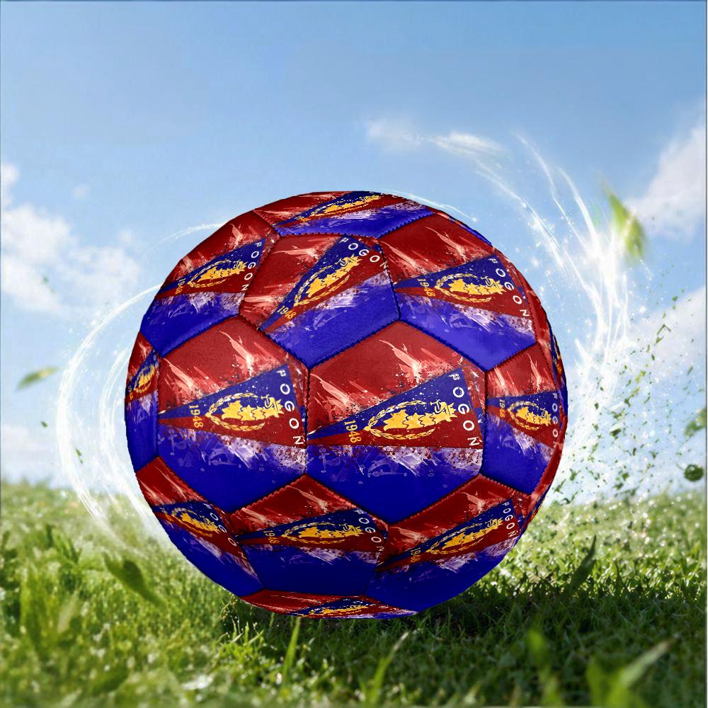 Pogon Emblem Design Size 5 Soccer Ball,Indoor/Outdoor Suitable for Training Matches Tournaments Practice Games Perfect Gift for Fan
