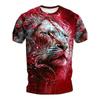T-shirts e tops – T-Shirts