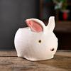 Ceramic Animal Plant Pot Cute Kitty Flowerpot with Drainage Hole Decorative Sheep Pig Planter for Succulents Home Room Office Desk Decor