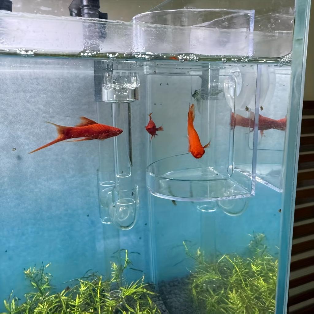 1pc Transparent Round Aquarium Feeder Bowl Aquarium Acrylic Fish Feeder Wall-Mounted Fish Feeding Tube Gardening Accessories