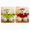 Adorable Plush Hooded Bear Toy Soft Pp Cotton Stuffed Animal Kids Gift 25cm
