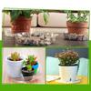 Pack Of 24 Clear Plant Coasters Round Plastic Drip Trays For Various Sized Flower Pots Indoor Outdoor Use 6/8/10/12inch
