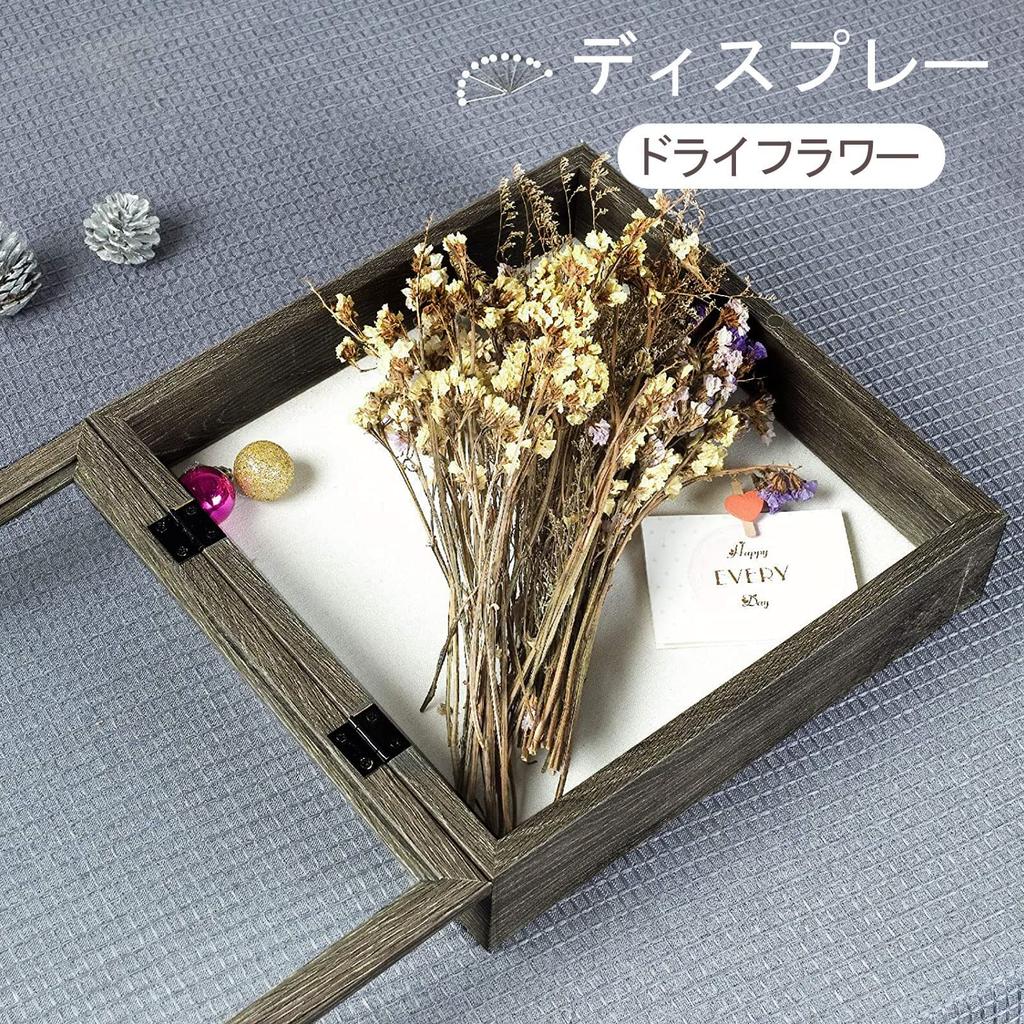 Telarana Picture Photo Specimen Shadow 3D Box Frame with Diameter 294 x 294 x 74 Inner Diameter 269 x 269 x Frame, Stand, Box, Box, Frame, Magnet,