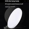 18W 32cm Round Ceiling Lamp Modern Ultra Thin LED Light for Bedroom Corridor Balcony