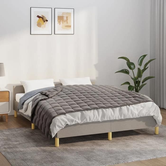VidaXL Couverture lestée Gris 120x180 cm 5 kg Tissu 350770