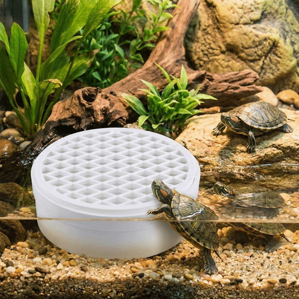 Plastic Turtle Tank Waste Collector Efficient Turtle Poop Catcher Feces Collector Terrarium