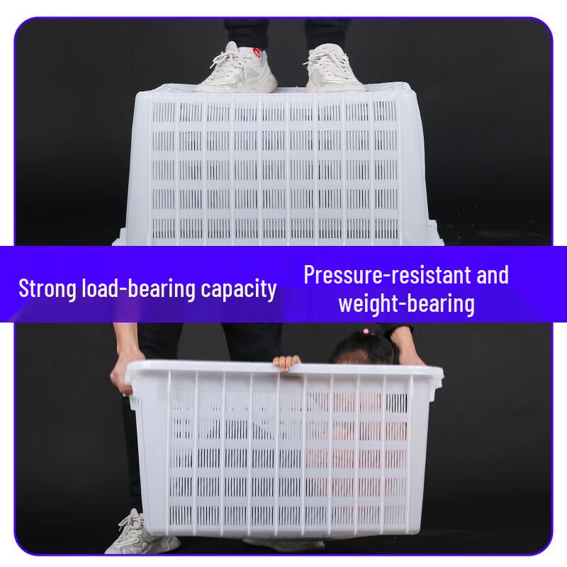 PP Storage Turnover Crate for Fresh Produce