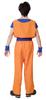 Clearstone Narikara Kenkyubu Cosplay Halloween Orange Dogi Unisex Orange