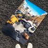 Shaun the Sheep Printed Carpet, Rug for Office Chair Living Room Bedroom Kitchen Room Decor Gifts.