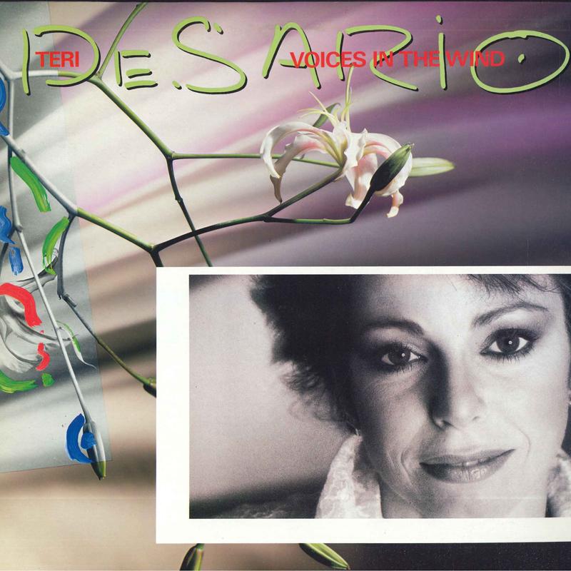 LP Record TERI DESARIO - Voices In The Wind AMP28142 A&M RECORDS 1985 Japan Obi Soul/Funk Used