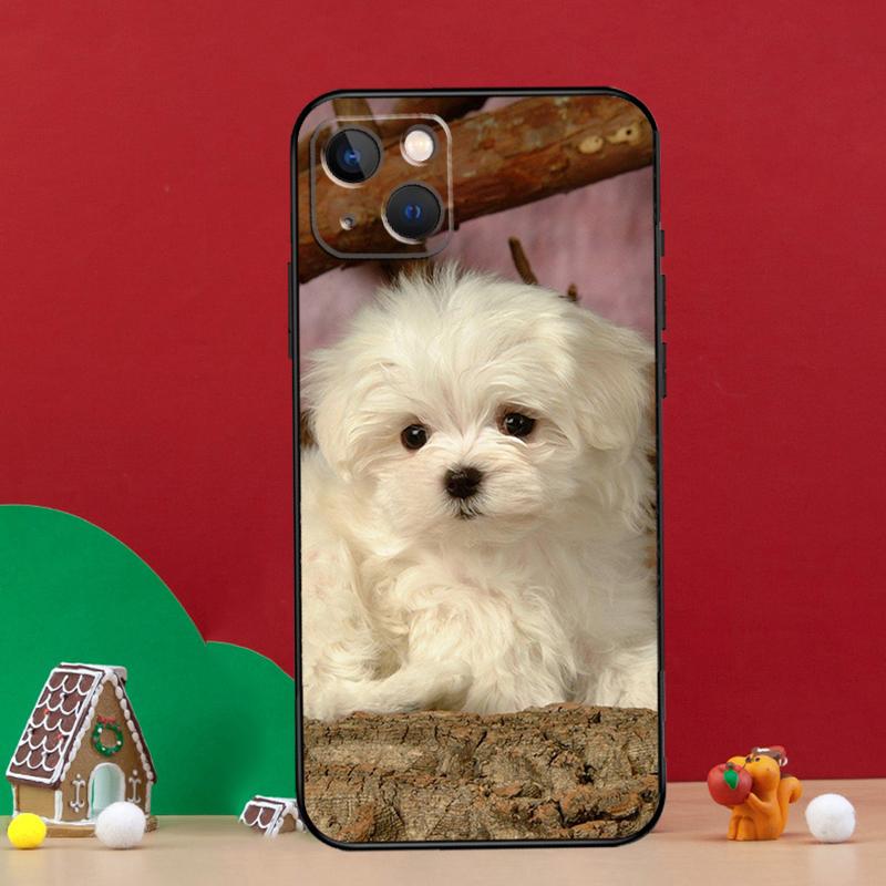 Maltese Dog Puppies Phone Case For iPhone 16 15 Plus 11 12 13 14 Pro Max Mini XS X XR 16e Back Cover Shell